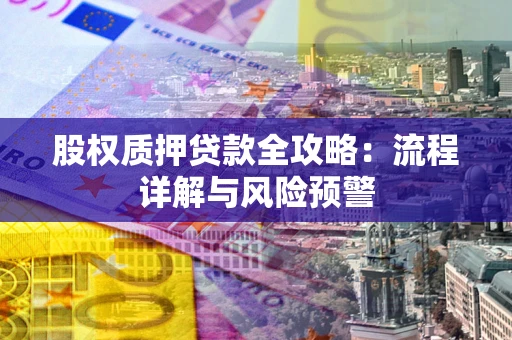 北京股权质押贷款全攻略：流程详解与风险预警