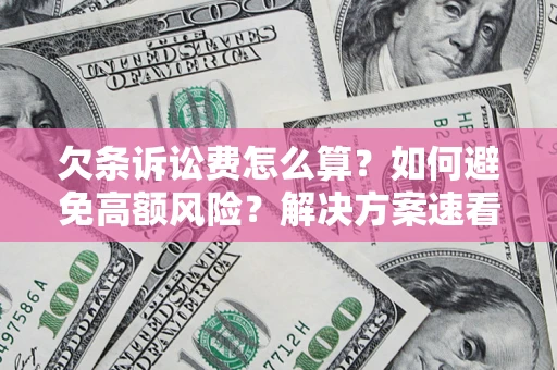 北京欠条诉讼费怎么算？如何避免高额风险？解决方案速看！